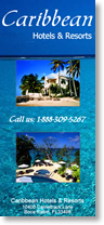 Full Color Rack Cards Printing
