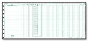 Custom Payroll/Expense Journal 