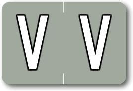 M196 - Individual End-Tab Labels Compatible with Barkley
