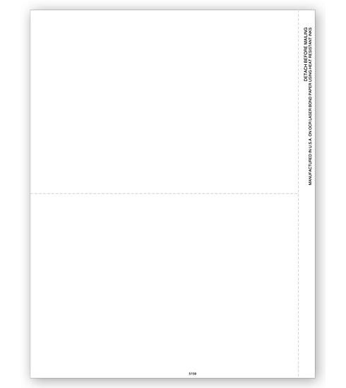 TF5159B - Bulk 1099 Forms Blank, 2-up with Copy B Backer