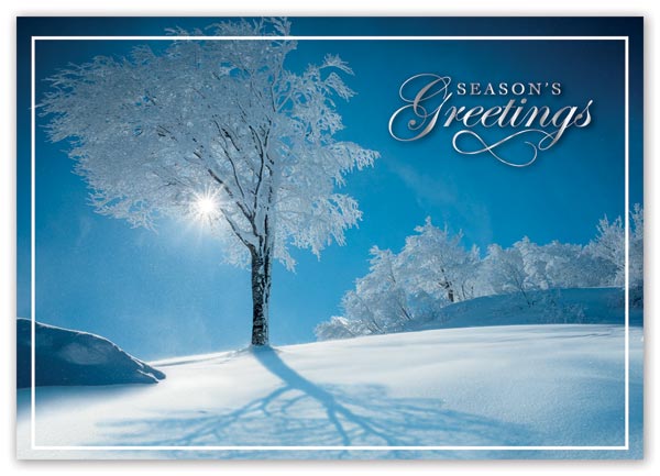 Holiday card with elegant and artistic sky blue background and custom options

