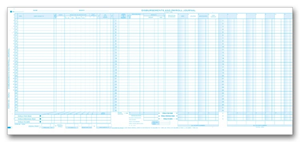 Cash Disbursement and Payroll Journals