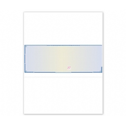 Security-Middle-Blank-Laser-Check