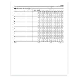 Laser 1095C ACA Continuation Sheet
