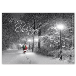 HP15311, Special Delivery Christmas Cards