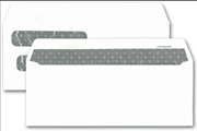 Double Window Envelope