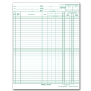 133031N, Payroll/Expense Ledger