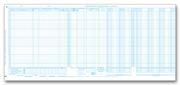 Cash Disbursement and Payroll Journals