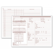 Pediatric Dental Exam Record