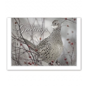 Holiday Card- Feathered Friend